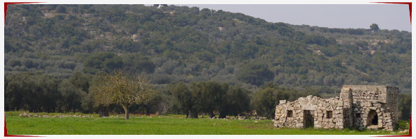 La Serra dei Cianci